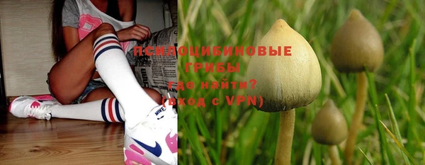 PSILOCYBIN Белоозёрский