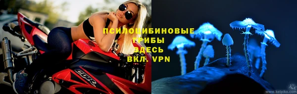 PSILOCYBIN Белоозёрский