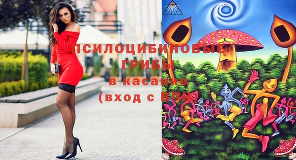 марки lsd Белокуриха