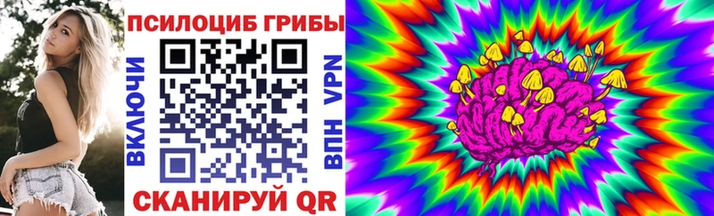 Галлюциногенные грибы GOLDEN TEACHER как найти наркотики Мглин